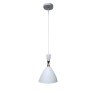 Lampa sufitowa loftowa AT1-1SZ-White – biały metal